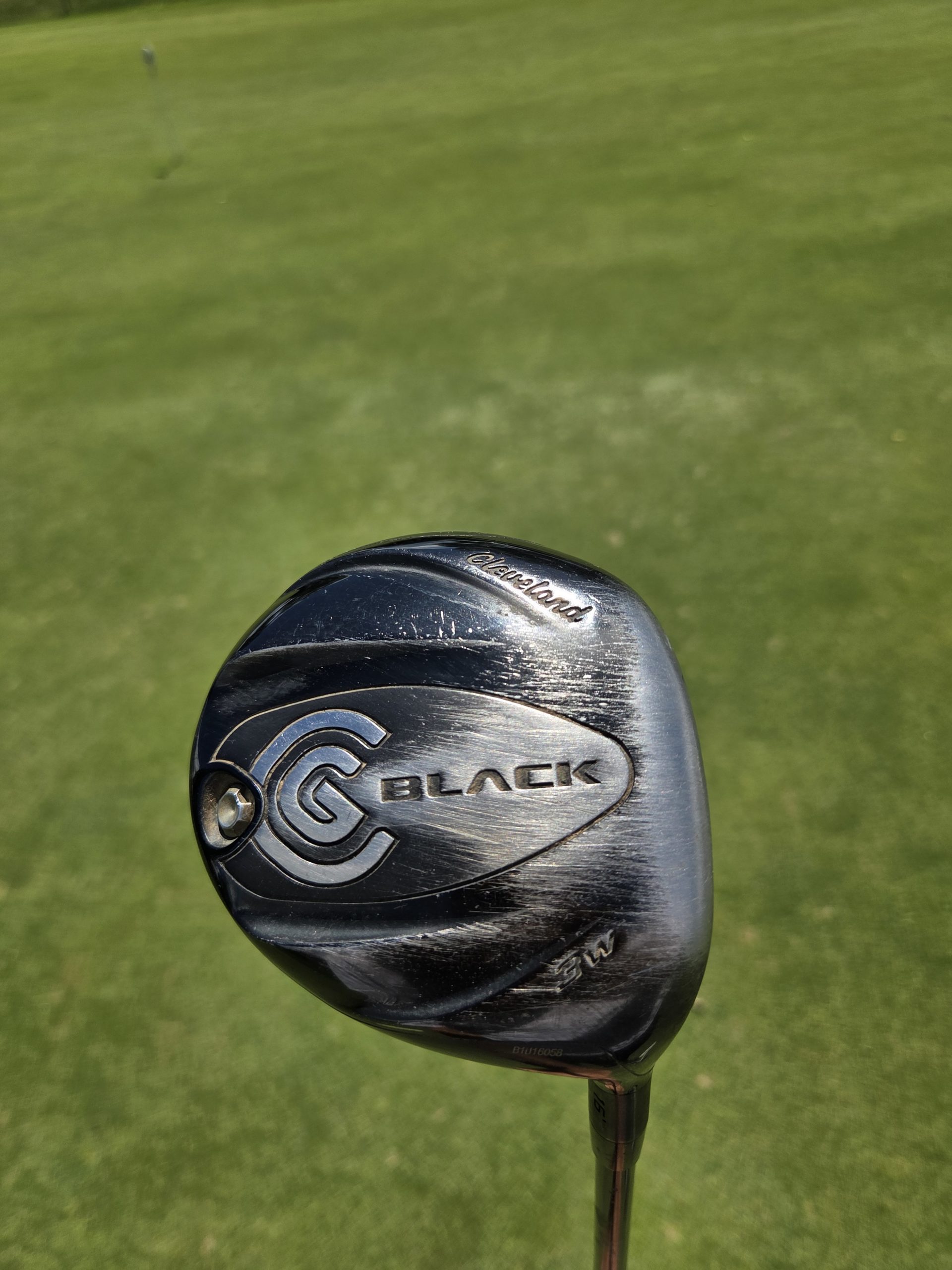 Bois de parcours n°3 Cleveland Black Occasion